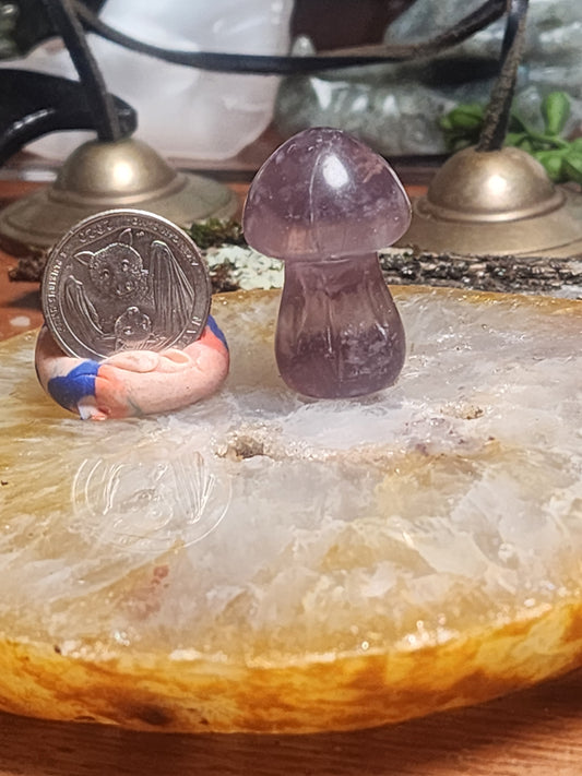 Purple Fluorite Mushroom with Rainbows