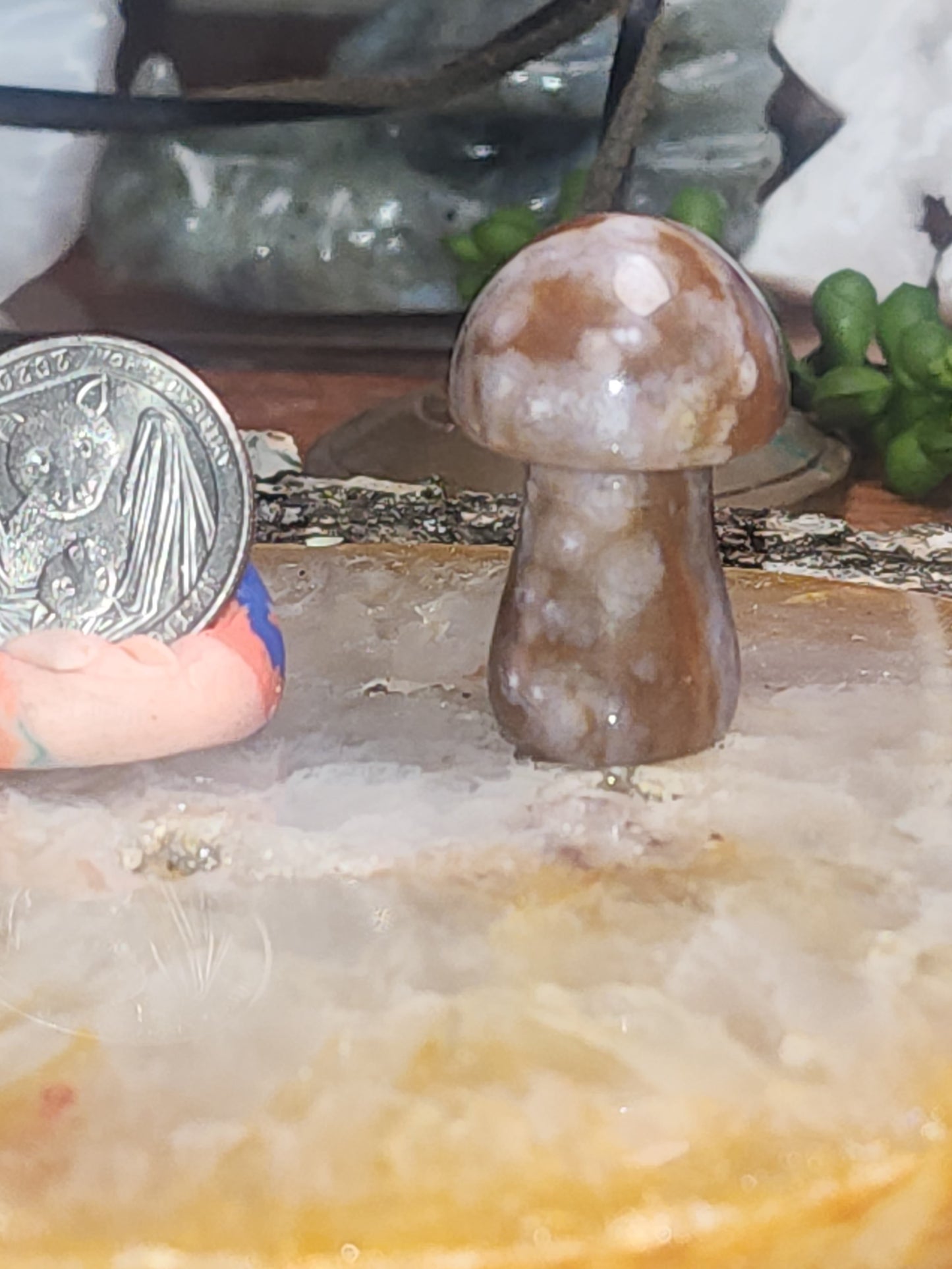 Purple Ocean Jasper Mushroom