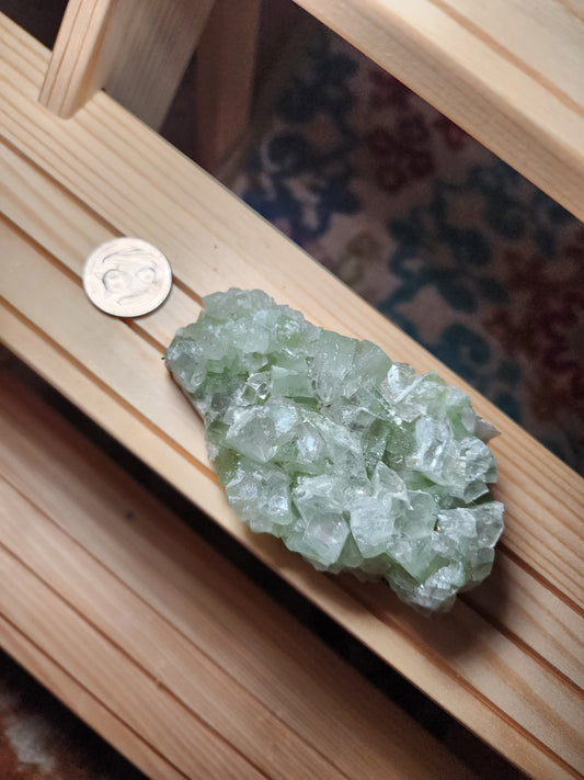 Green Apophylite Cluster