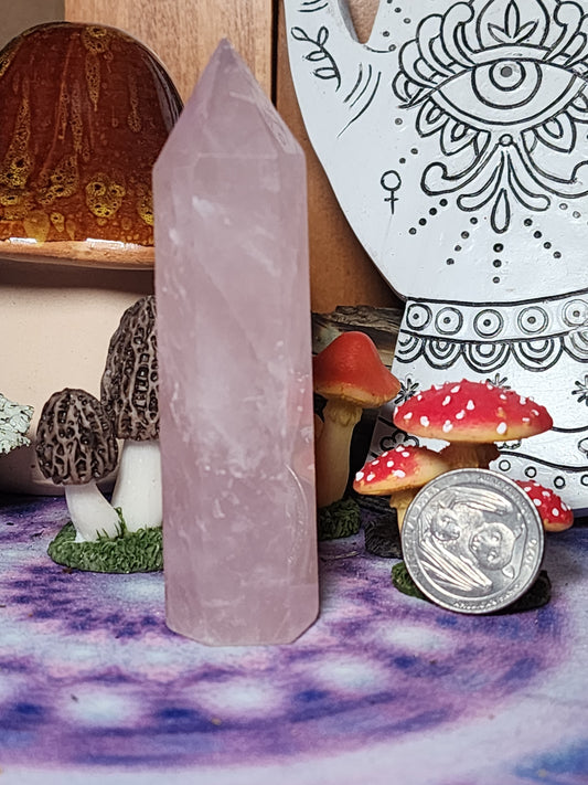 Rose Quartz Tower