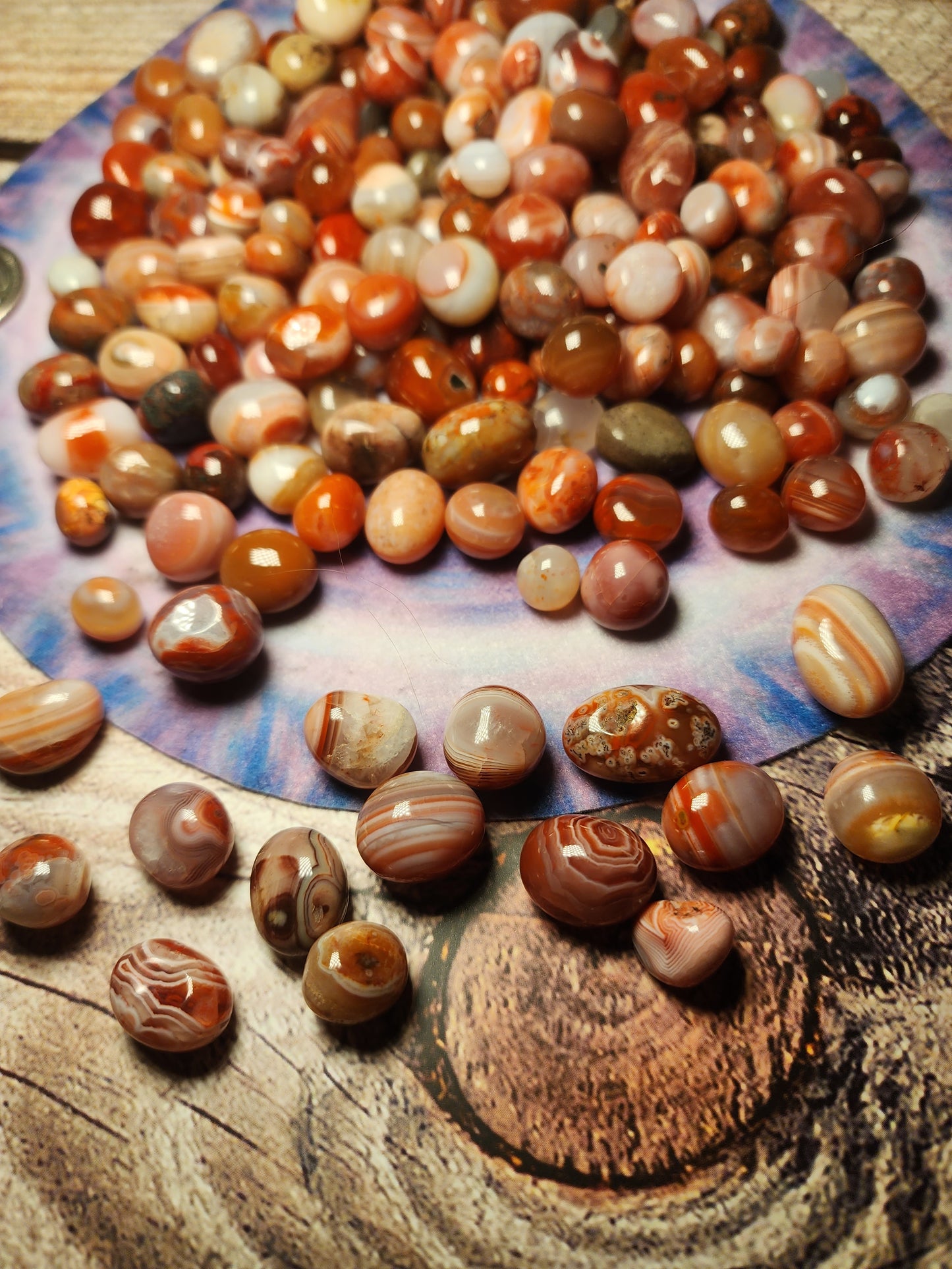 Carnelian Jelly Bean Mushroom Bag 🍄