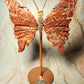 Orbicular Red Ocean Jasper Druzy Butterfly Wings 🦋