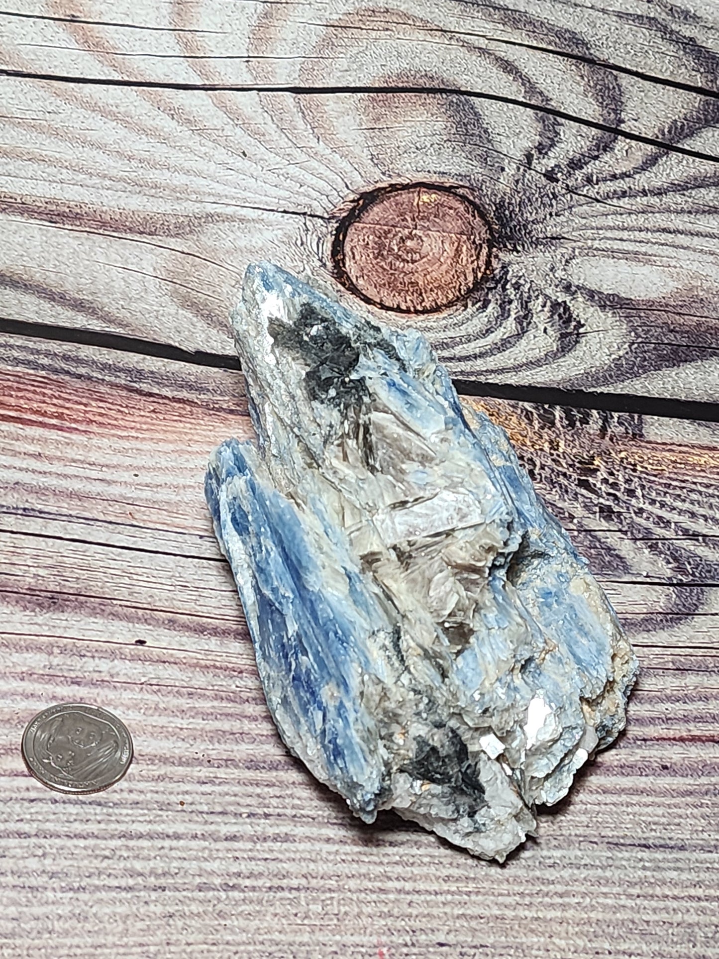 Blue Kyanite, Golden Mica, Quartz & Black Tourmaline XXL Chunk