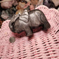 Silver Sheen Obsidian Large Elephant