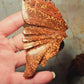 Orbicular Red Ocean Jasper Druzy Butterfly Wings 🦋