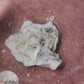 Barite and galena specimen