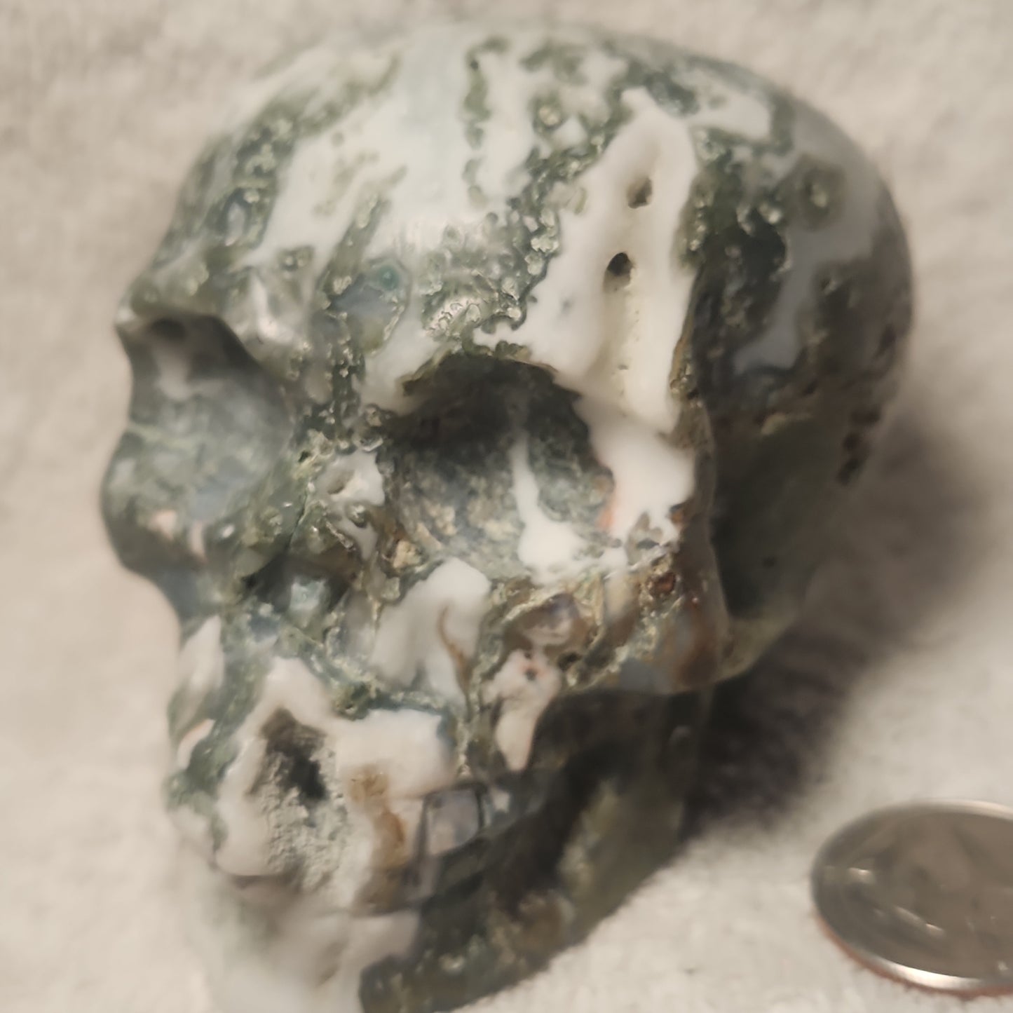 Large Moss Agate Druzy Skull