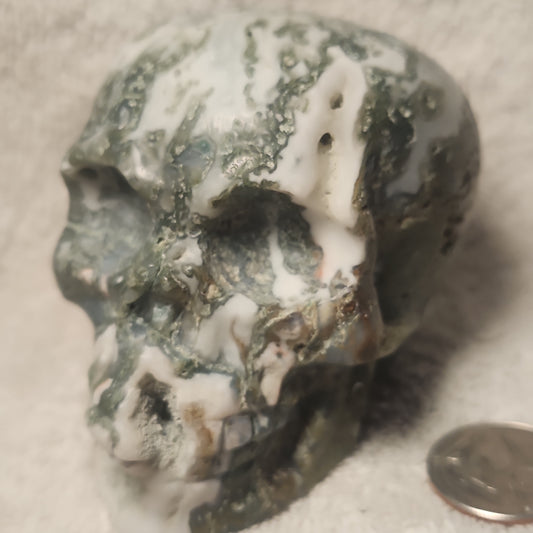 Large Moss Agate Druzy Skull