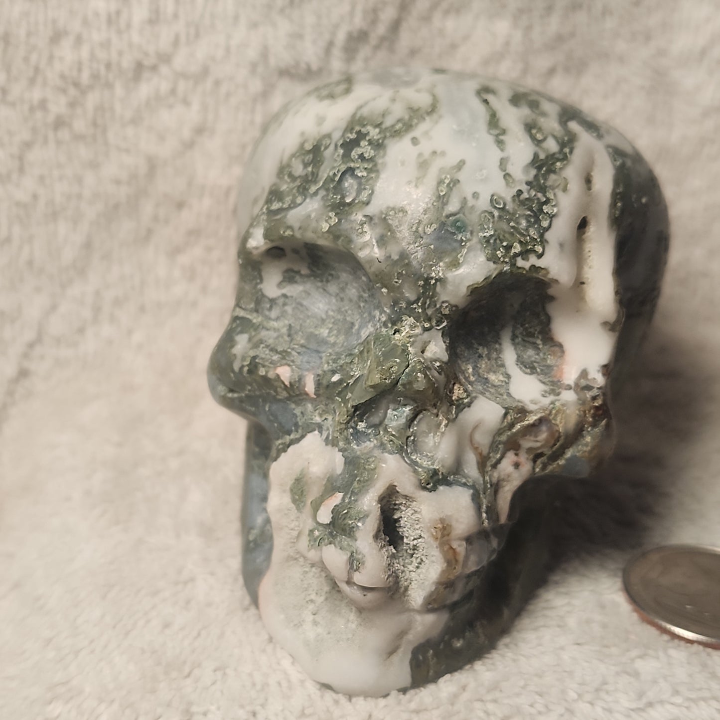 Large Moss Agate Druzy Skull