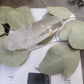 Large lemurian quartz point
