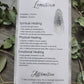 Large lemurian quartz point