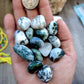 14 tree agate tumbles