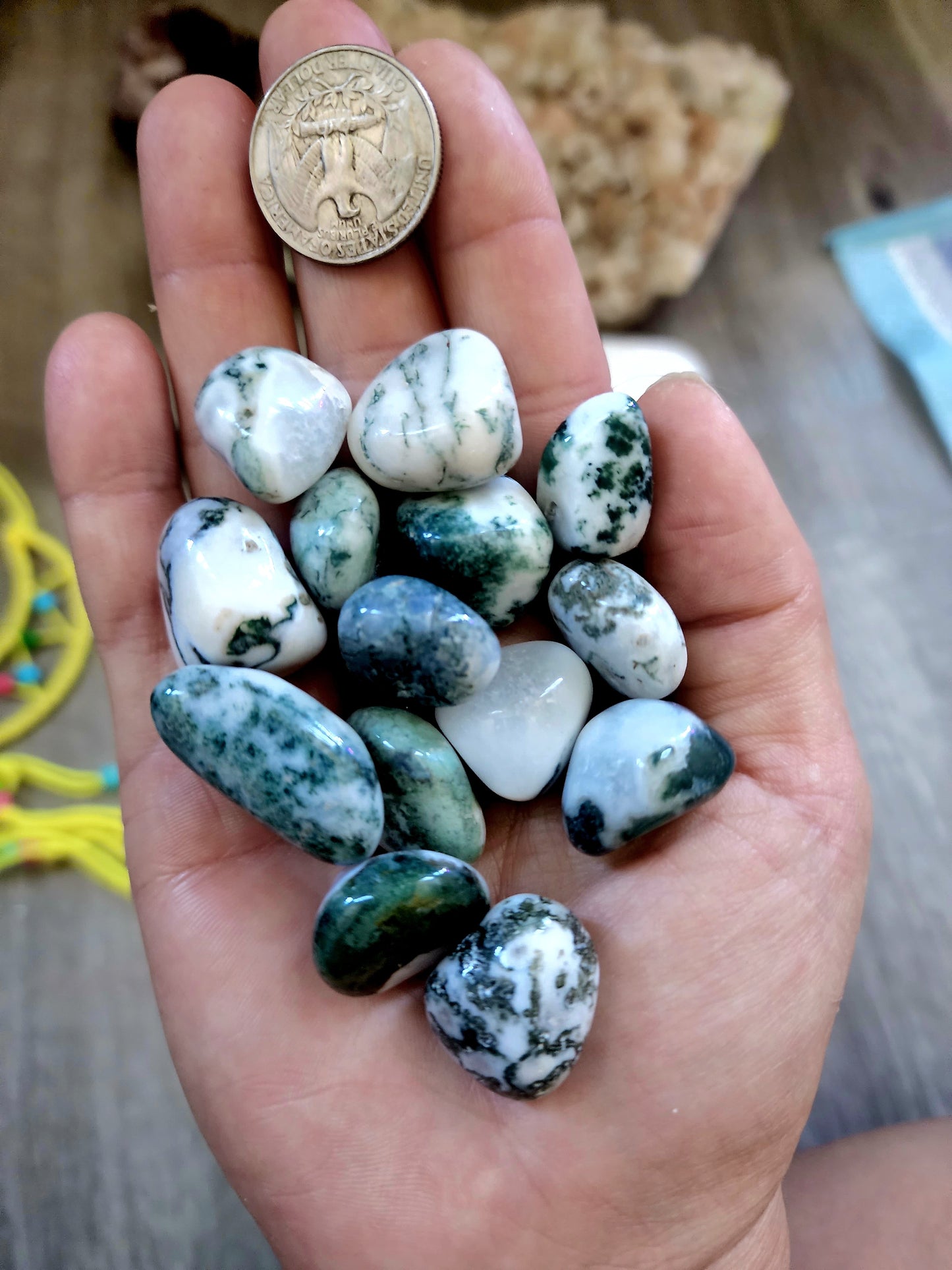 14 tree agate tumbles