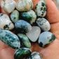 14 tree agate tumbles