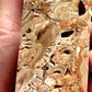 Large fossil jasper tower