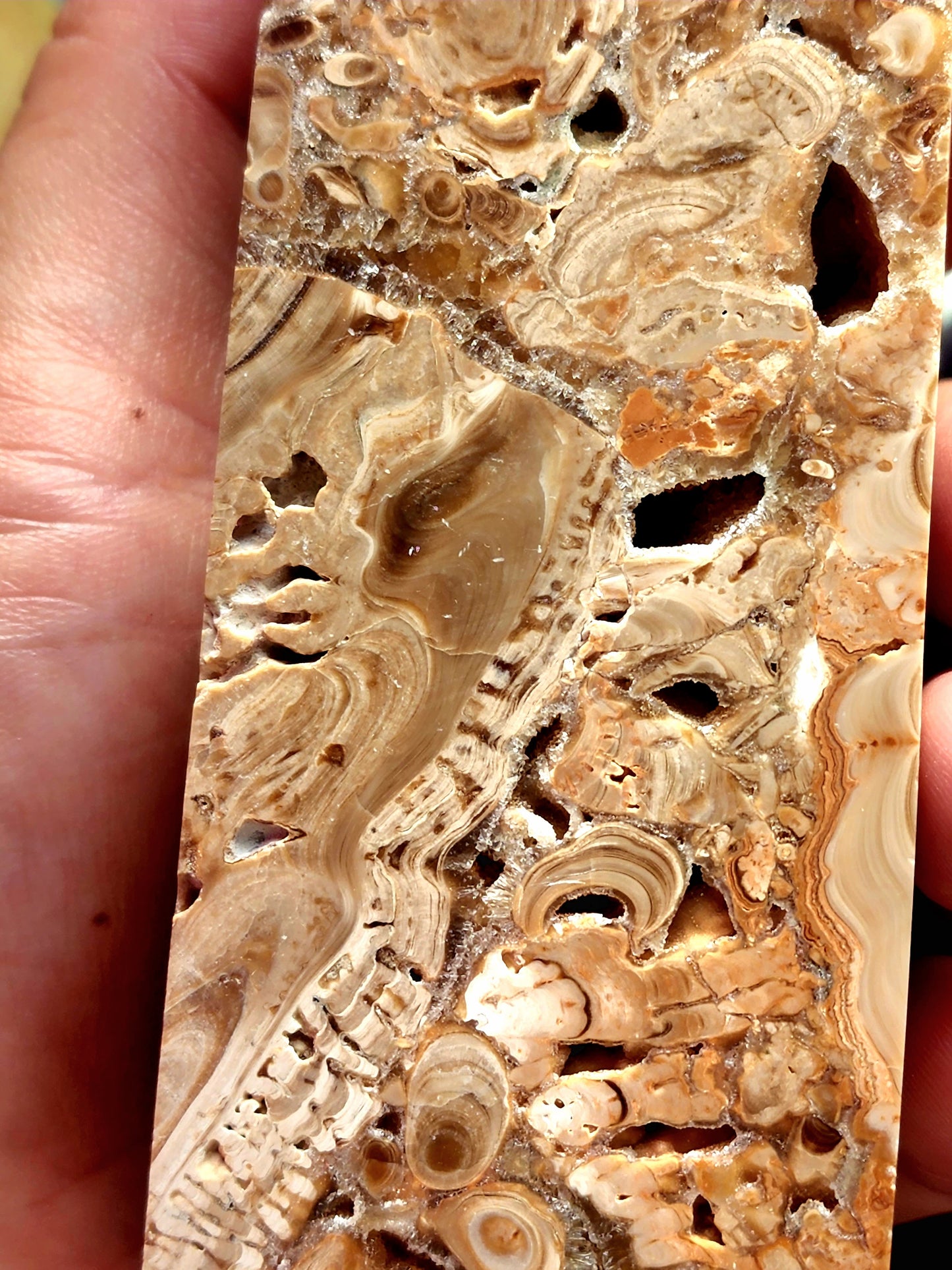 Large fossil jasper tower