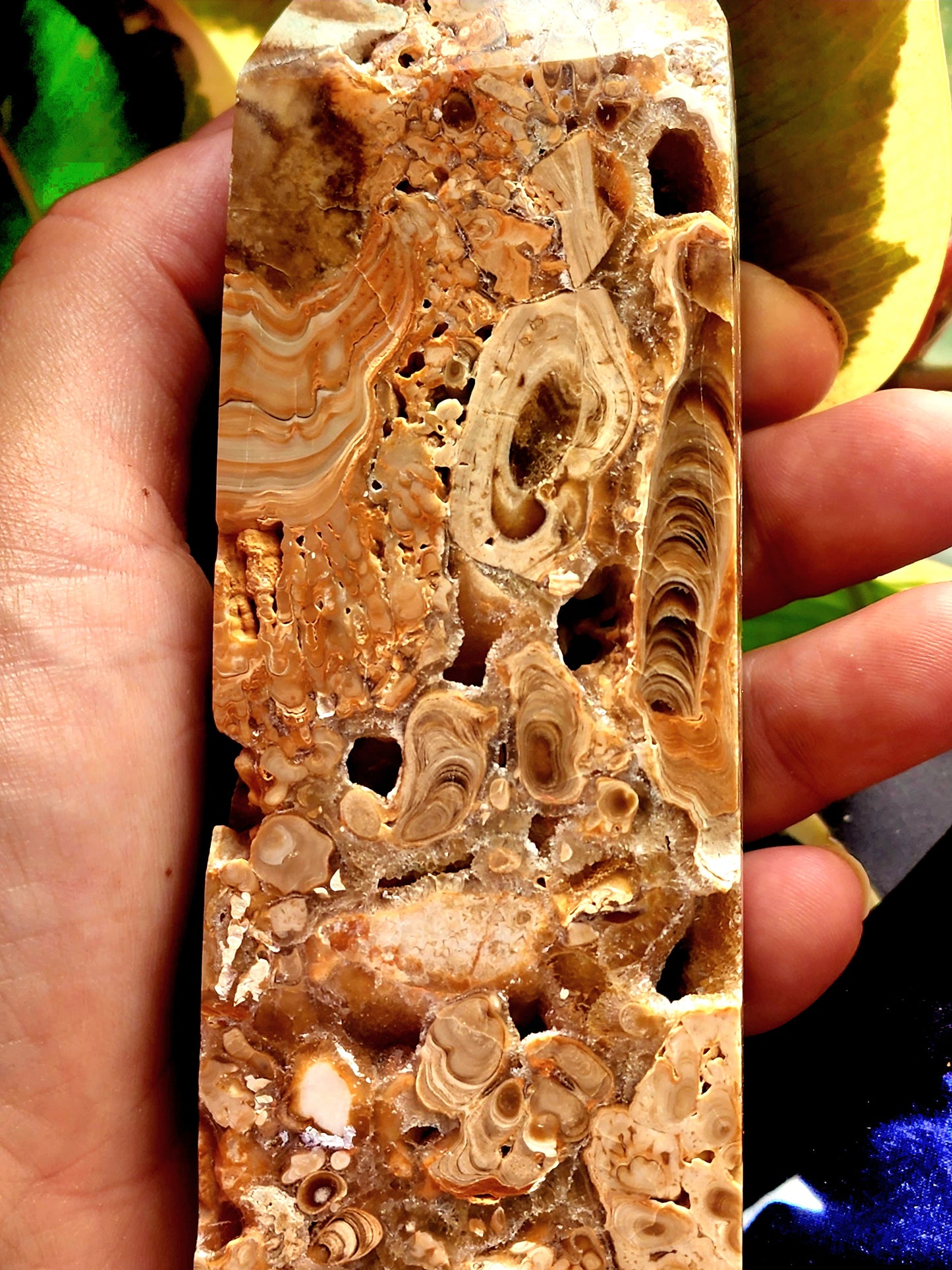 Large fossil jasper tower