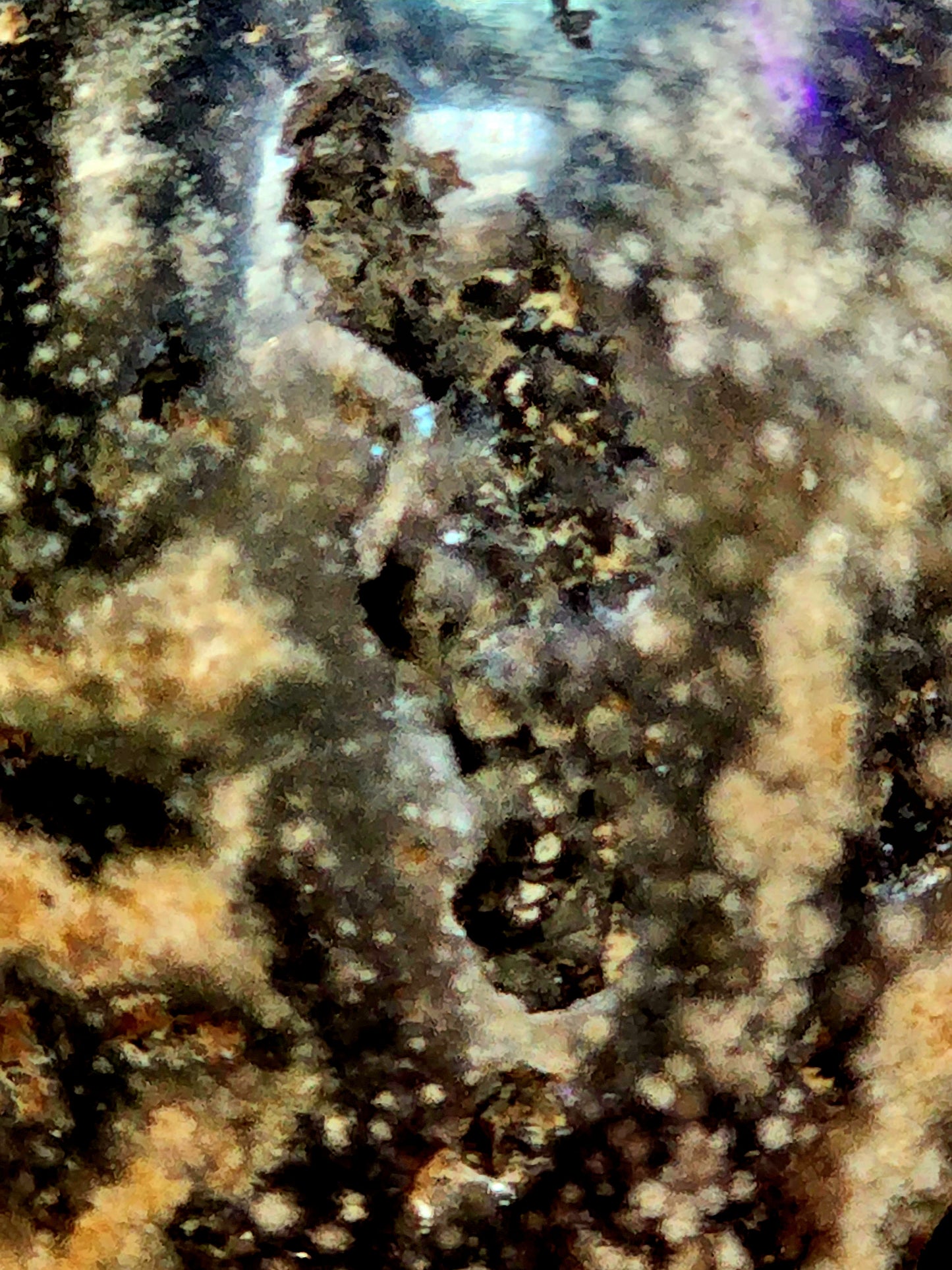 Large druzy ocean jasper sphere
