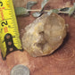 Congo citrine