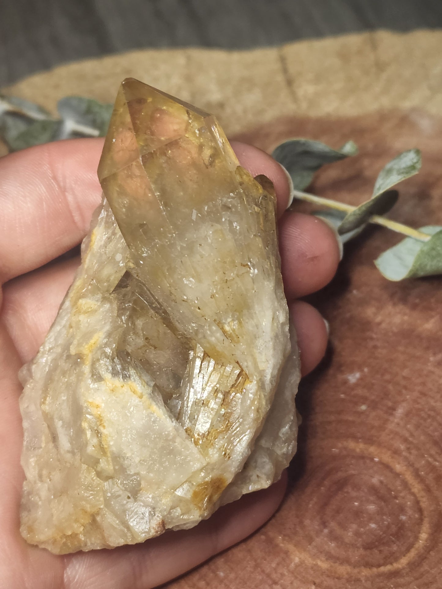 Congo citrine