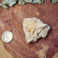 Barite specimen