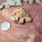 Barite cerrusite and galena specimen