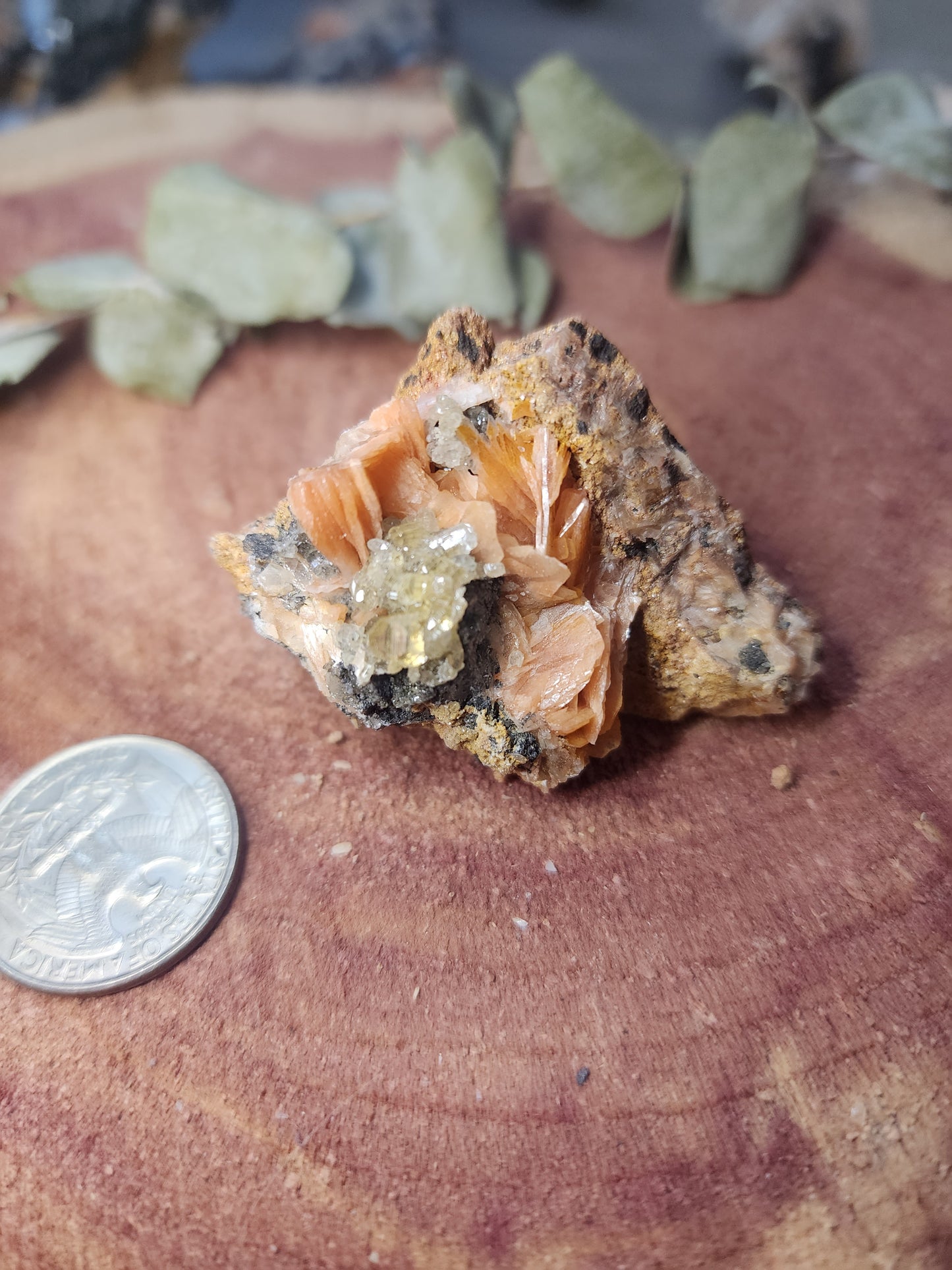 Barite cerrusite and galena specimen