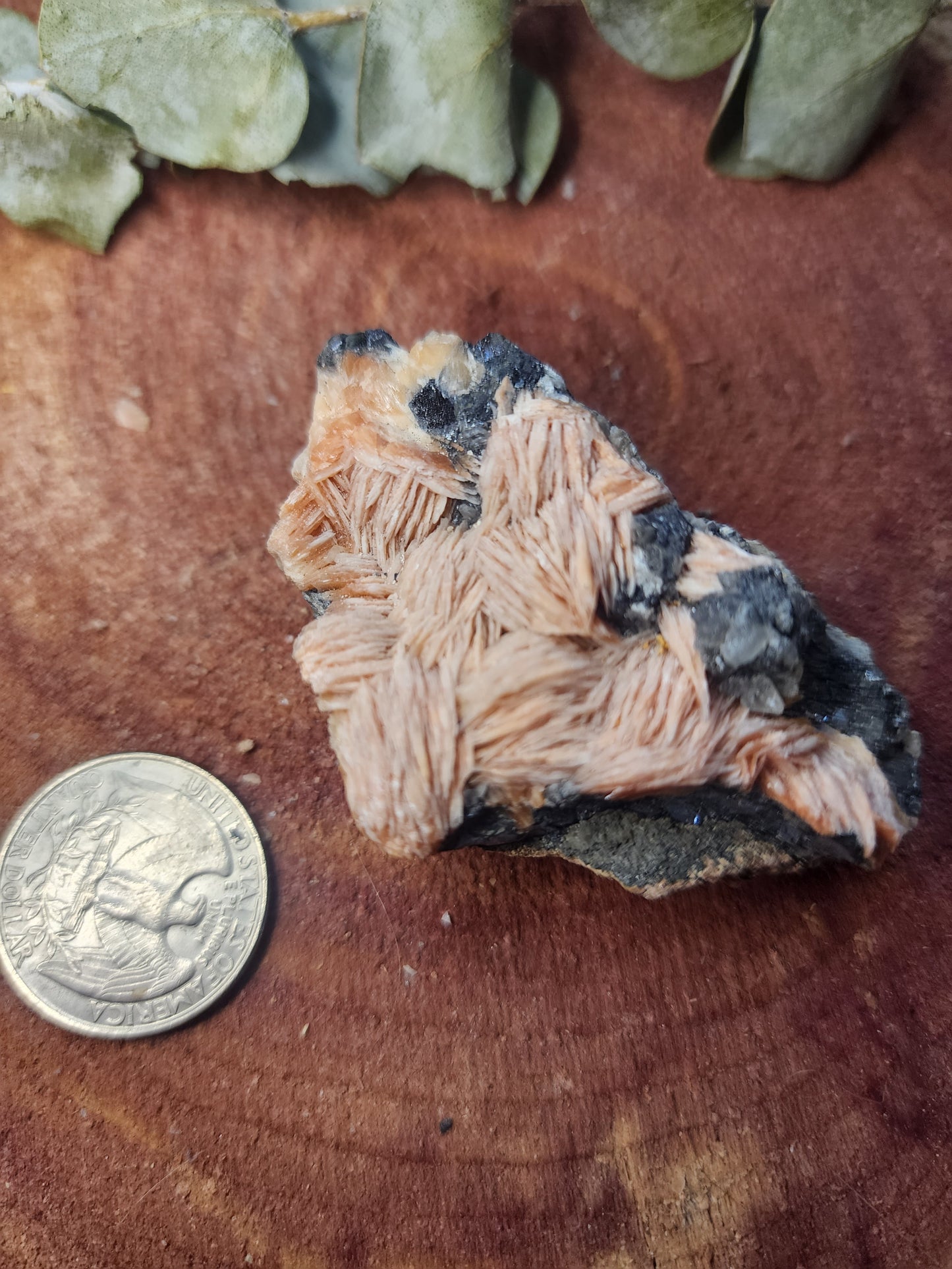 Barite cerrusite and galena