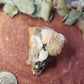 Barite cerrusite and galena specimen