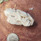 Barite specimen