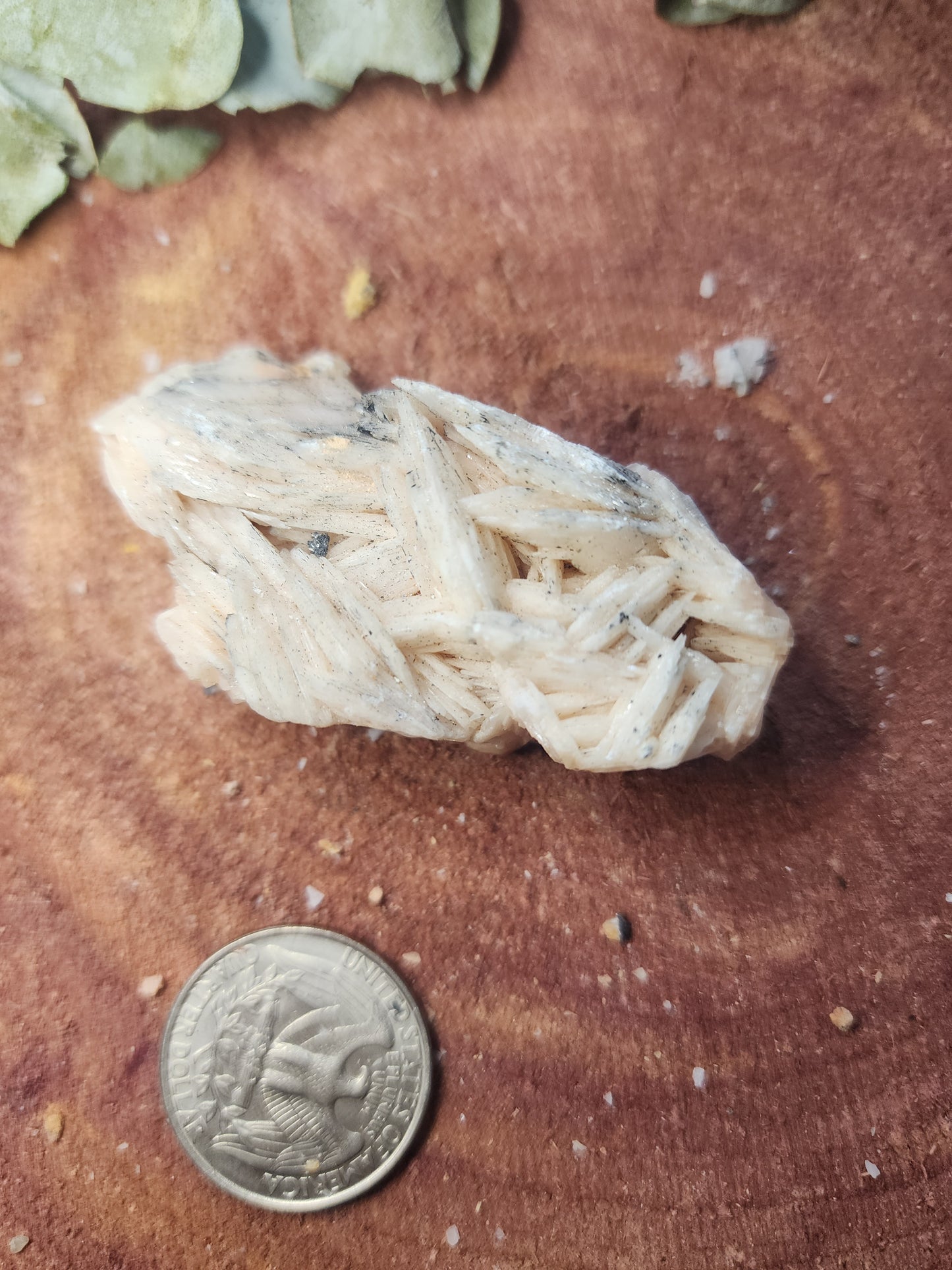 Barite specimen