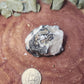 Barite cerrusite and galena specimen