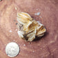 Barite specimen
