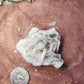 Barite and galena specimen
