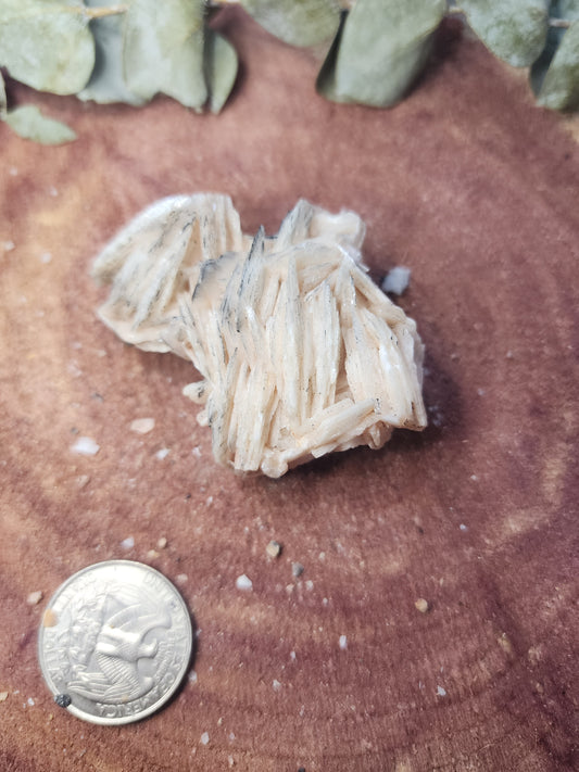 Barite specimen