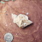 Barite specimen