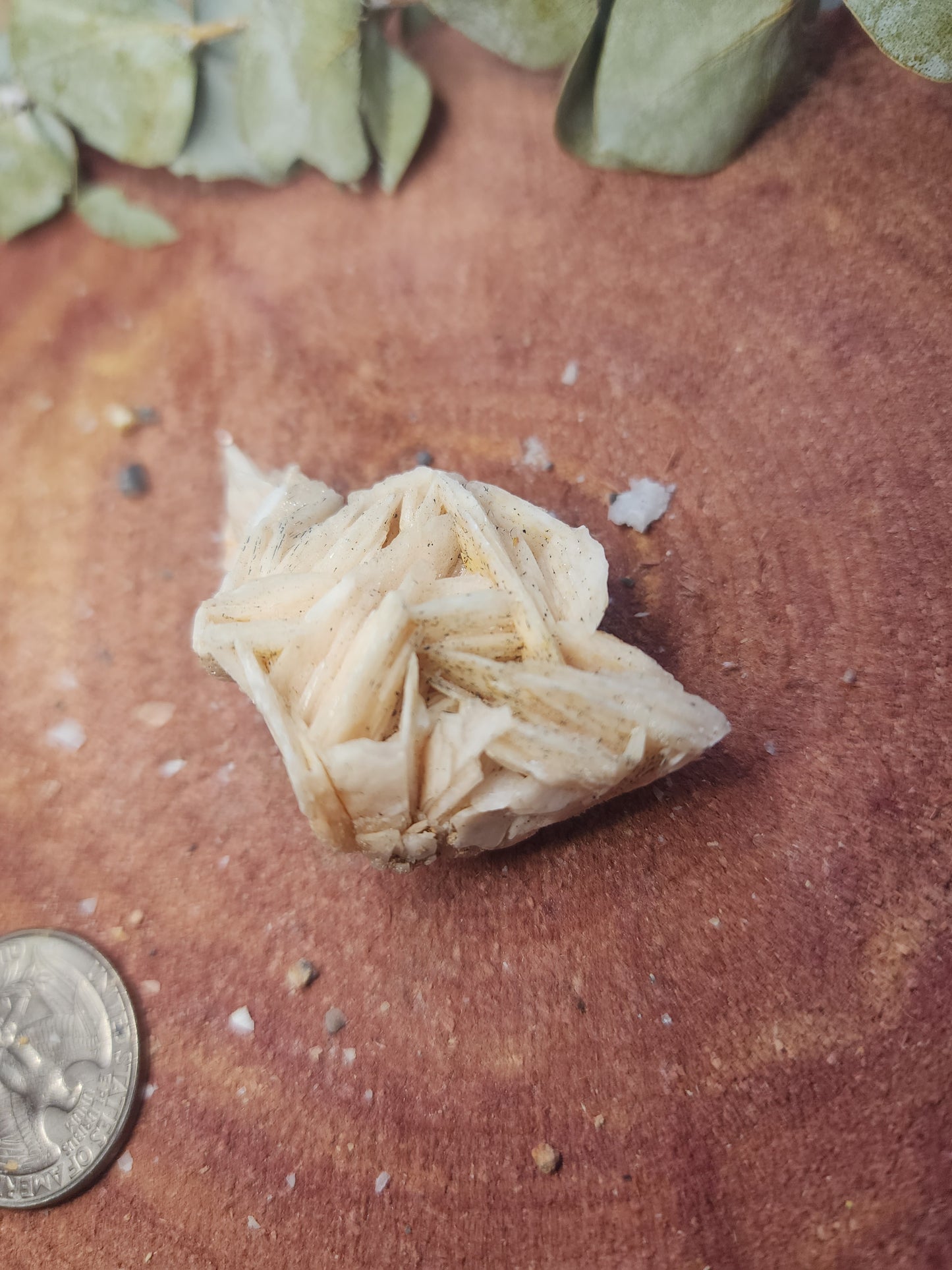Barite specimen
