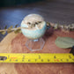 Blue aragonite druzy sphere