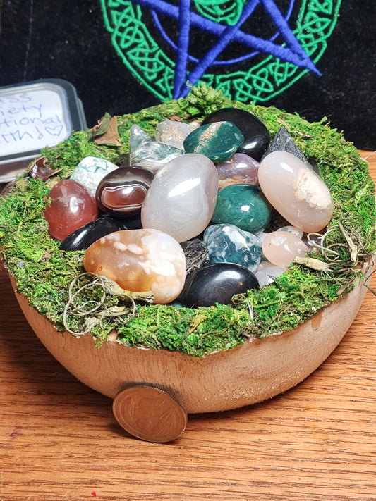 Moss bowl filled with crystals