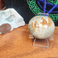 Polychrome jasper palmstone