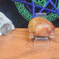 Sardonyx palmstone