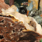 DRUZY sphalerite slab with apophylite inclusions