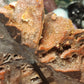 DRUZY sphalerite slab with apophylite inclusions