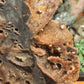 DRUZY sphalerite slab with apophylite inclusions