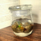 Welo Opal pair