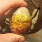 Ocean jasper palmstone