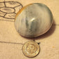 Sparkly Ocean Jasper palmstone