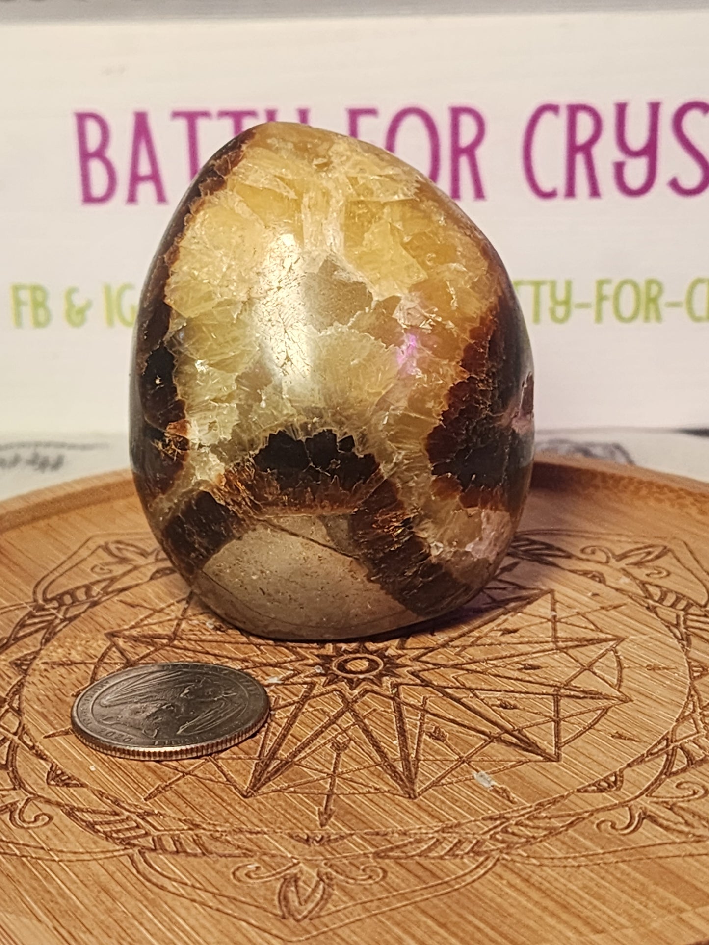 Septarian Freeform