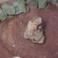 Barite specimen