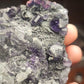 Black Sphalerite with purple Fluorite